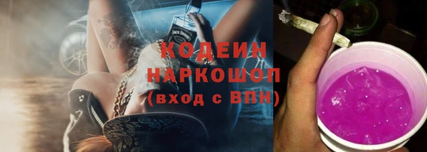 СК Сатка
